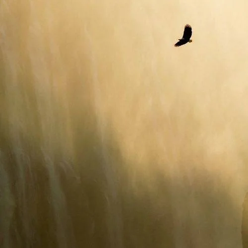 here's to our wholeness