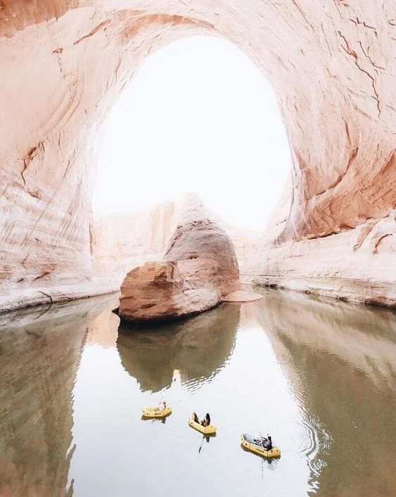 {multi-dimensional energy focus} March 2019