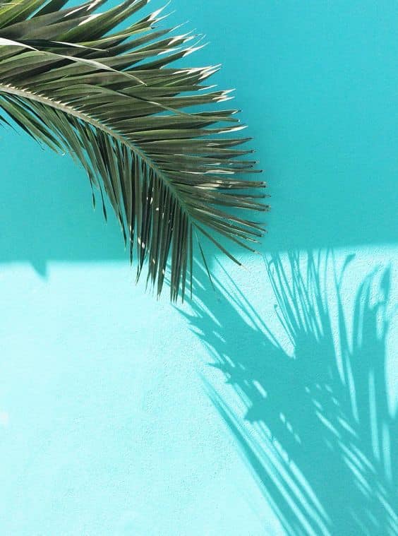 Image From Pinterest