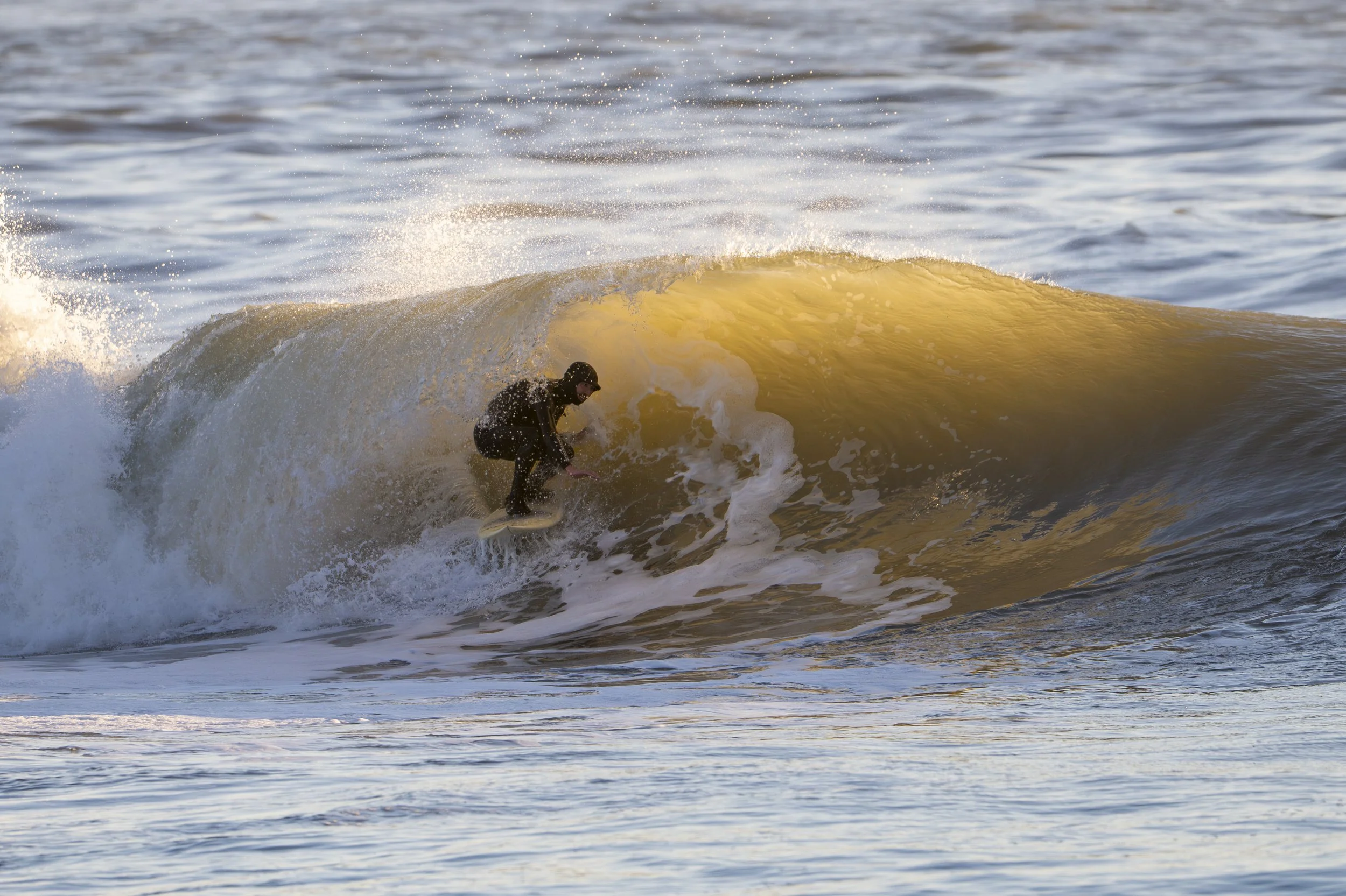 NIKON CORPORATION NIKON Z 8 5408x3608_000037 1-2.jpg