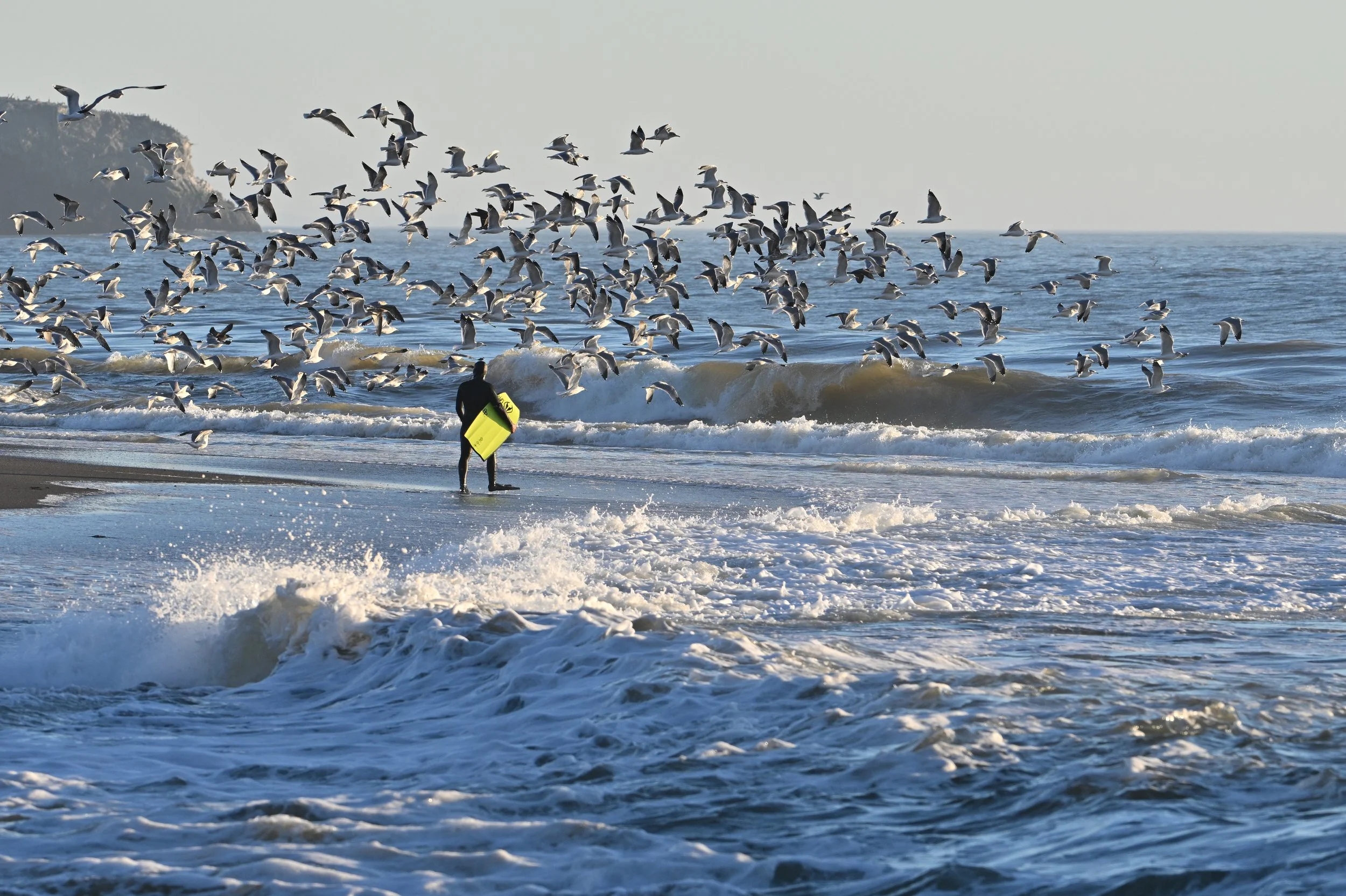 NIKON CORPORATION NIKON Z 8 5392x3592_000132 1.jpg