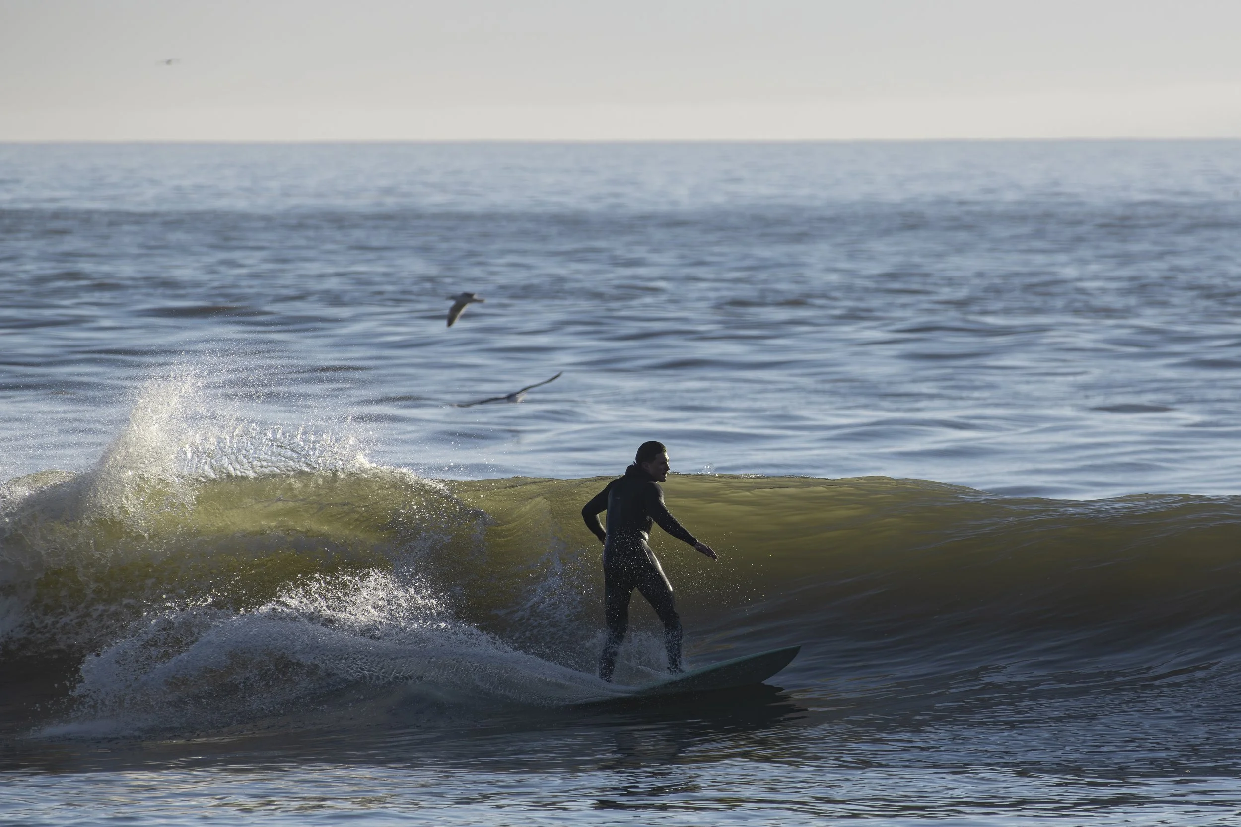 NIKON CORPORATION NIKON D850 6912x4600_000261.jpg