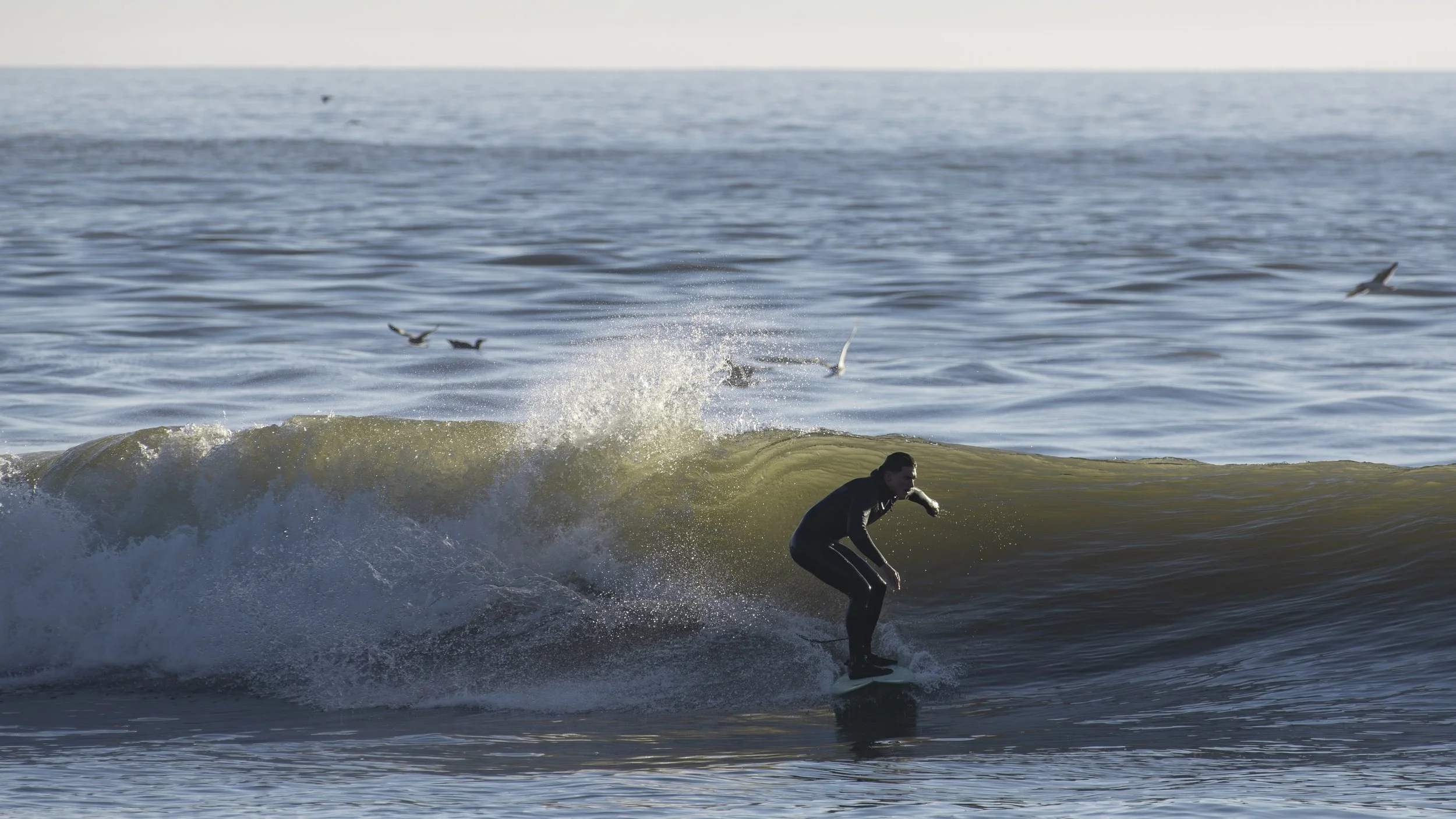 NIKON CORPORATION NIKON D850 6912x4600_000260.jpg