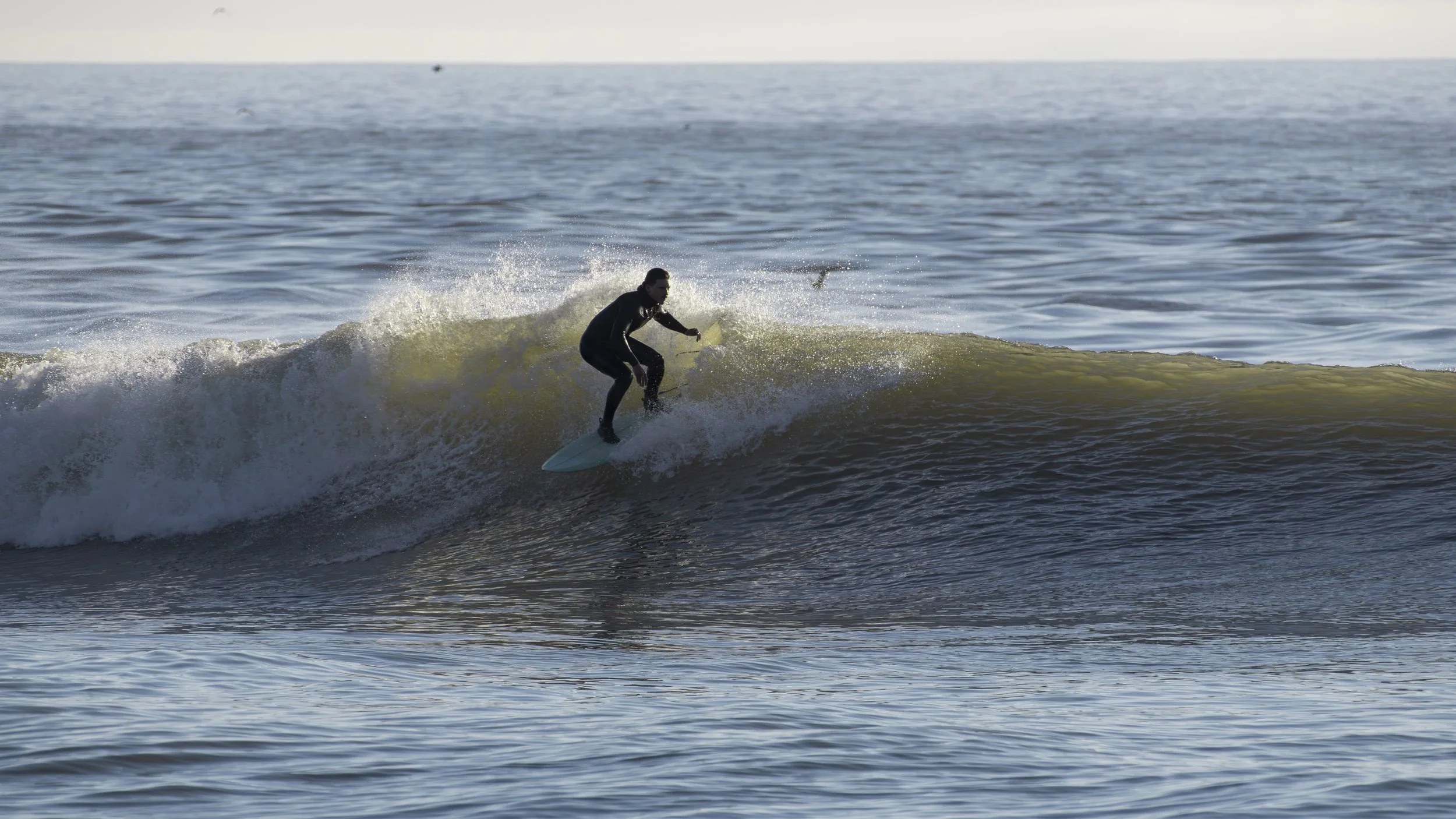 NIKON CORPORATION NIKON D850 6912x4600_000259.jpg