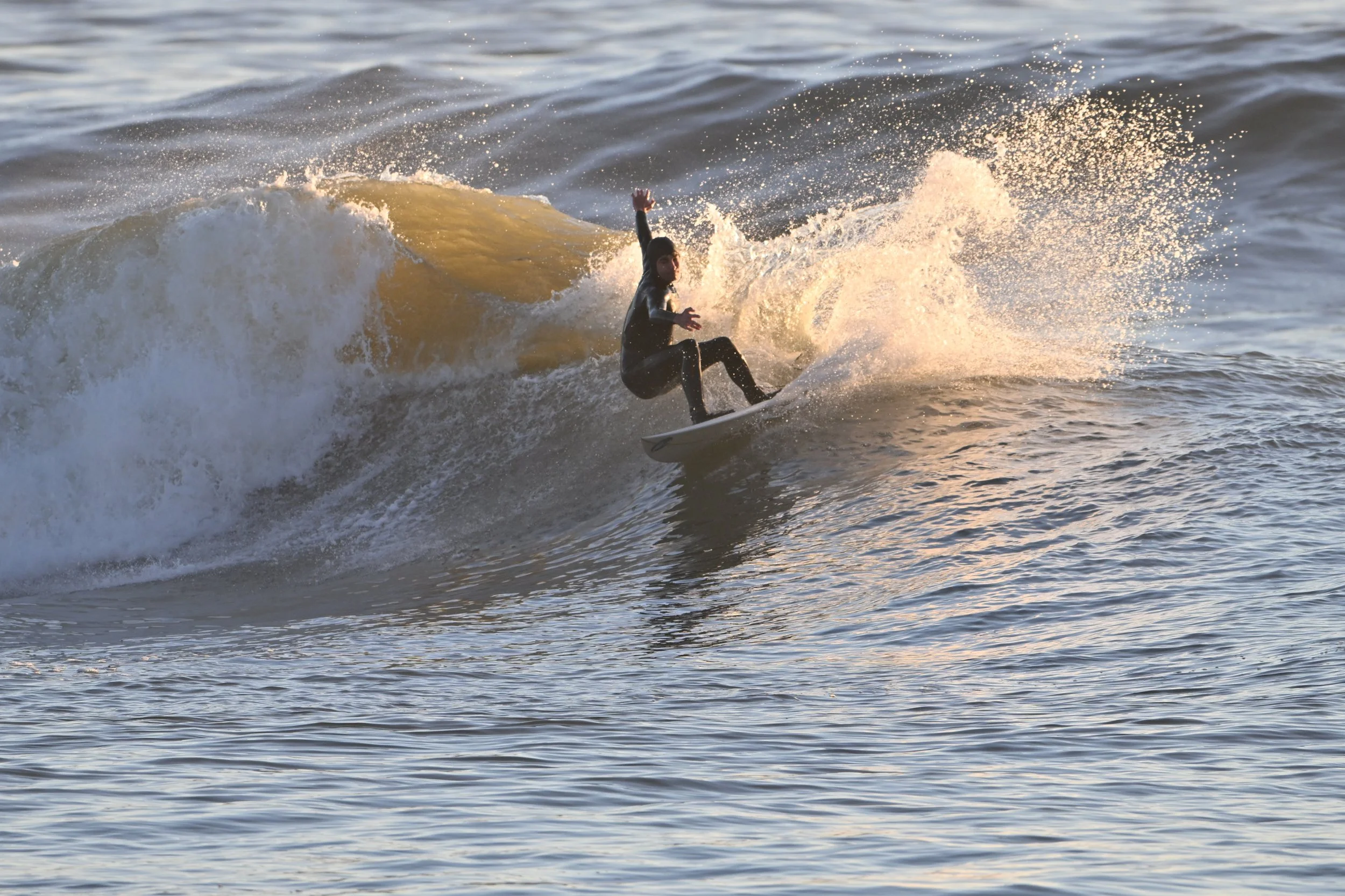 NIKON CORPORATION NIKON Z 8 5392x3592_000230.jpg