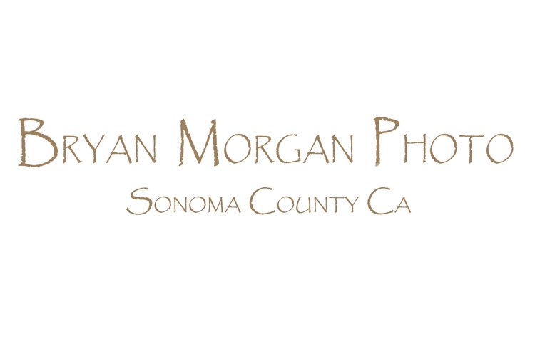 Bryan Morgan Photo