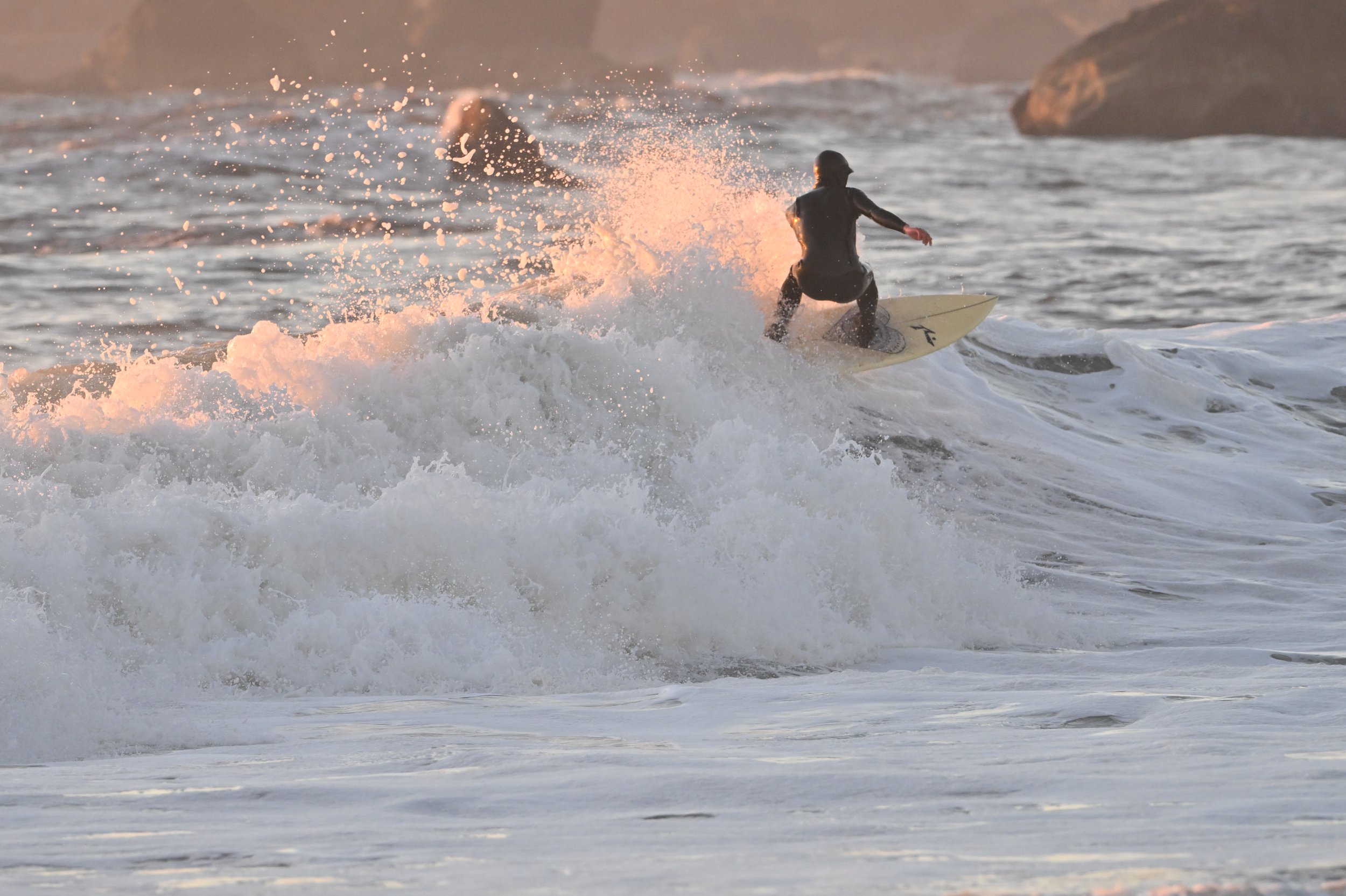 NIKON CORPORATION NIKON Z 8 5392x3592_000734.jpg