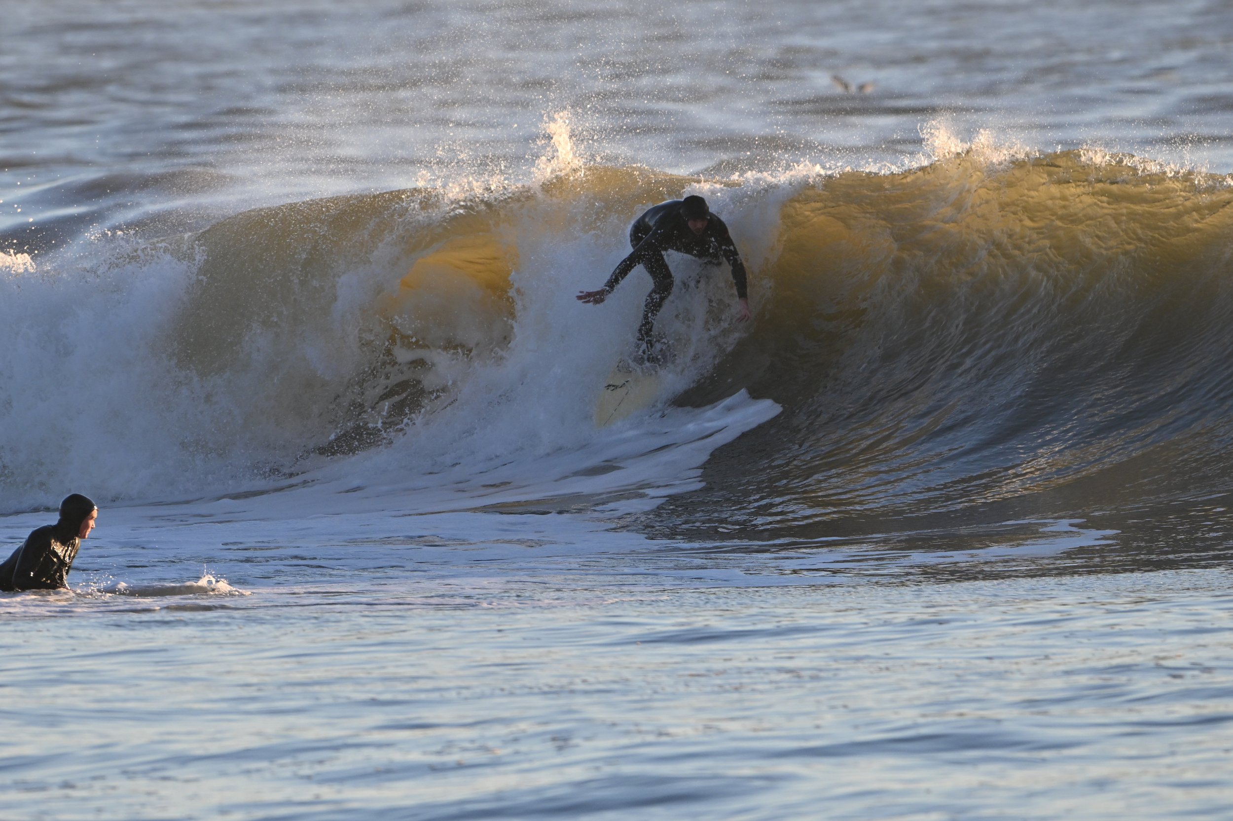 NIKON CORPORATION NIKON Z 8 5392x3592_000157.jpg