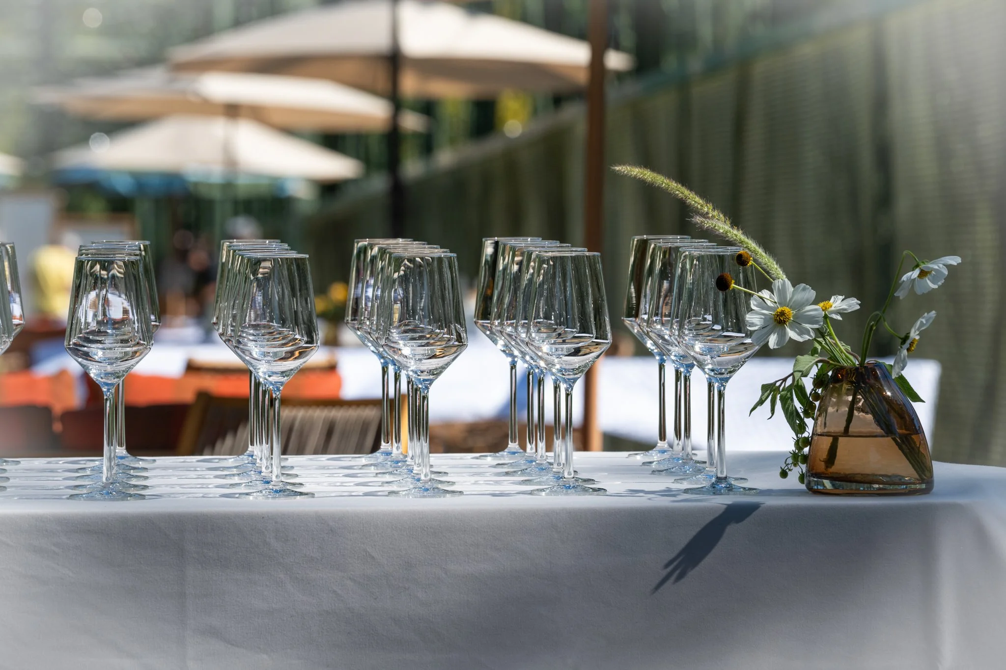 DSC_8015.jpg