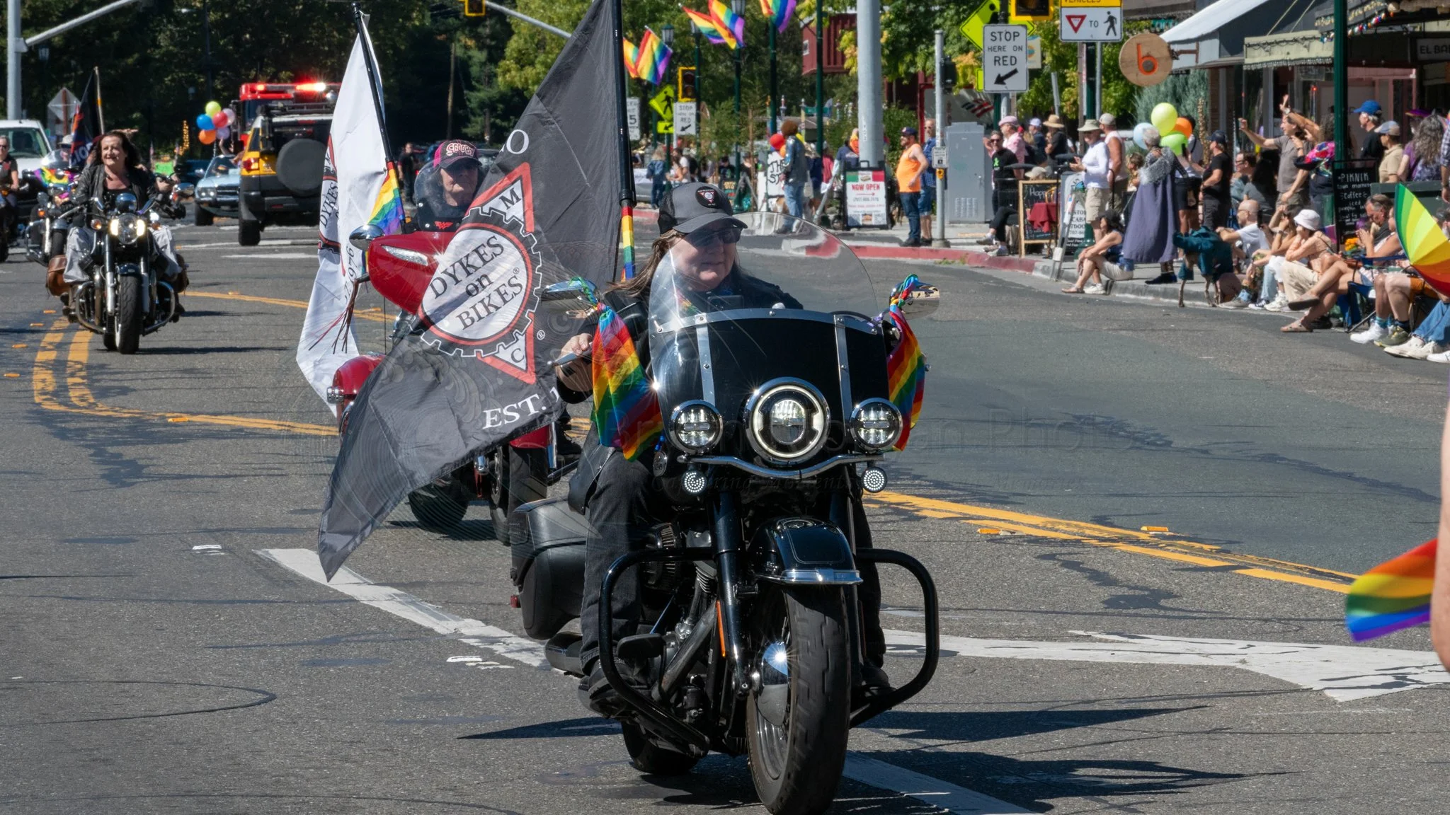 DSC_8337.jpg