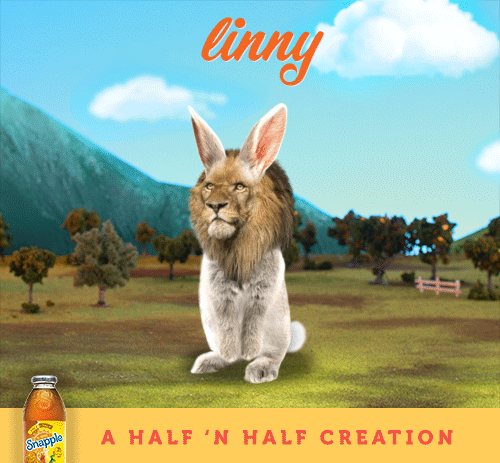 linny.gif