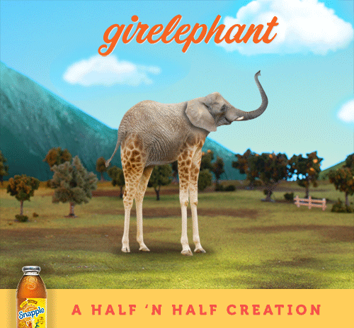 girelephant.gif
