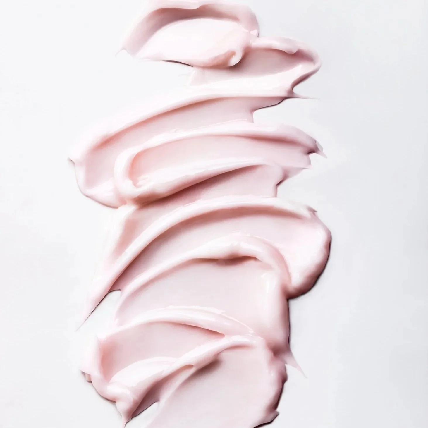 Rose+Cream+.jpg