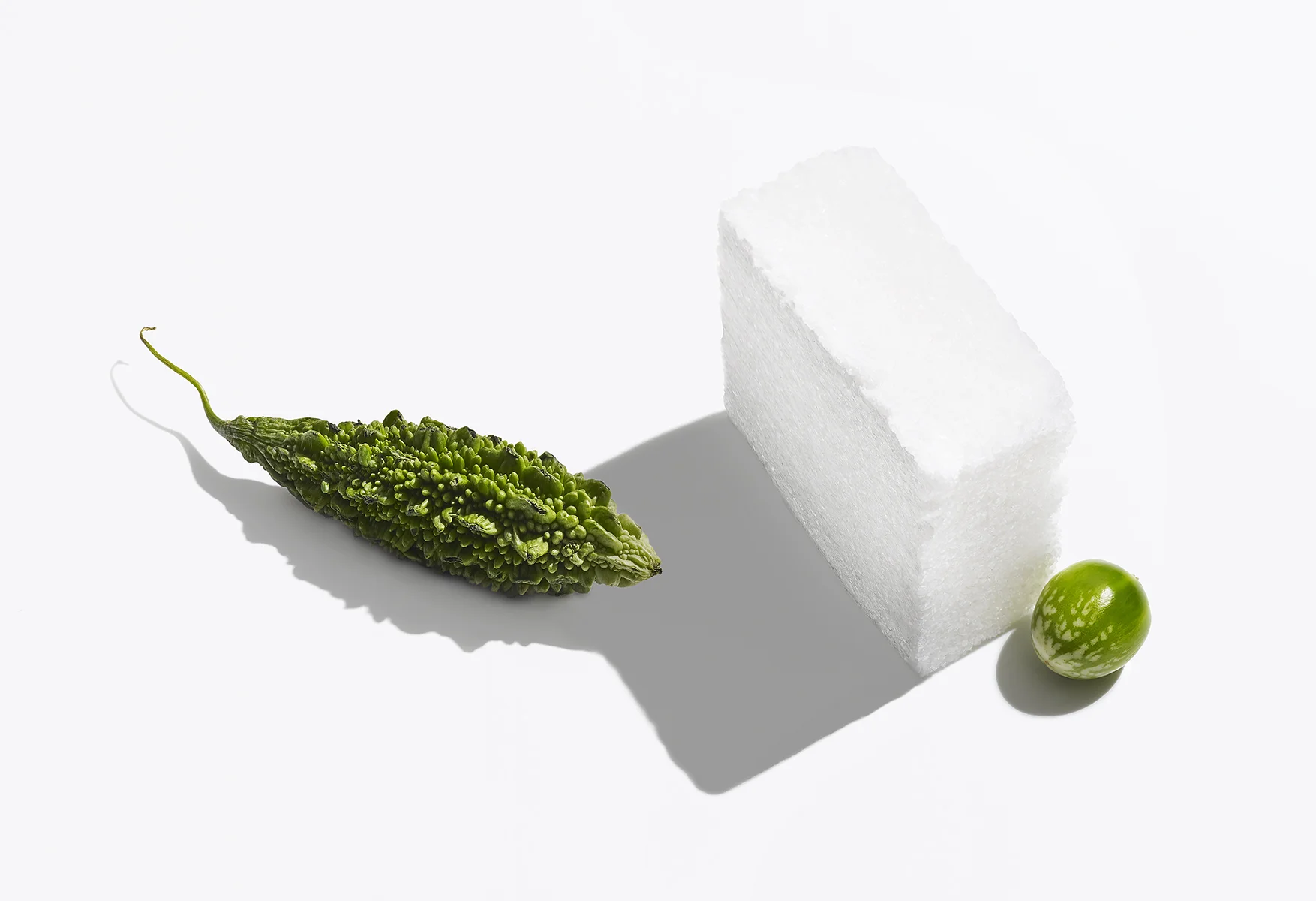1239TST_267_bttrmelon_salt-v1_noborder.jpg