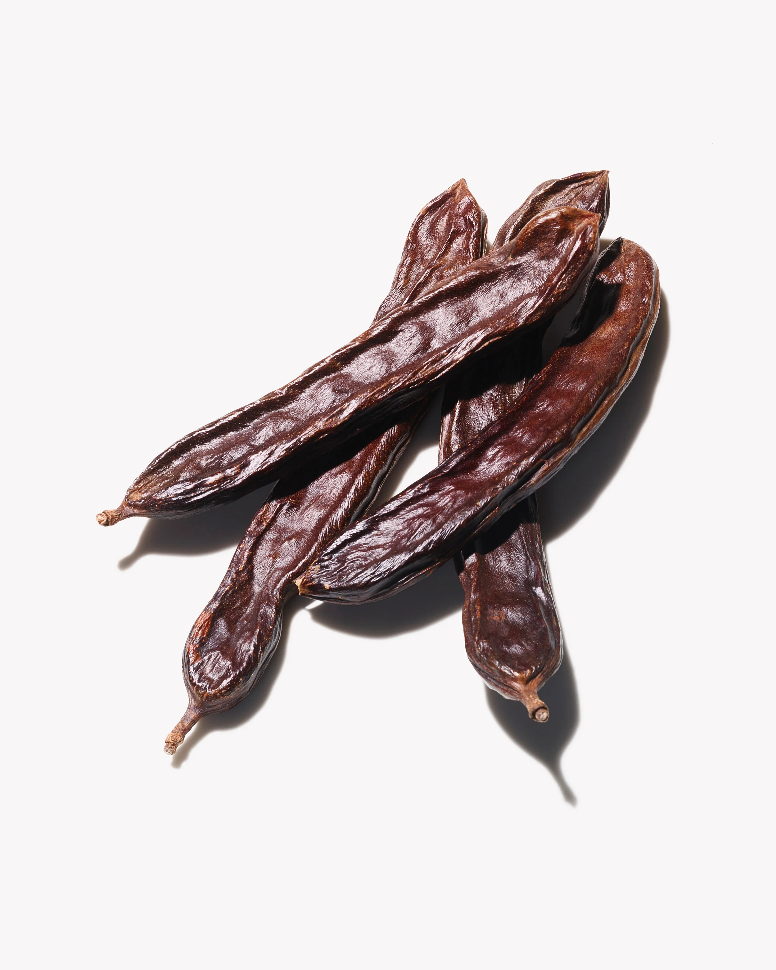 1409PR_BOTANICALS_CAROB_556 copy.jpg