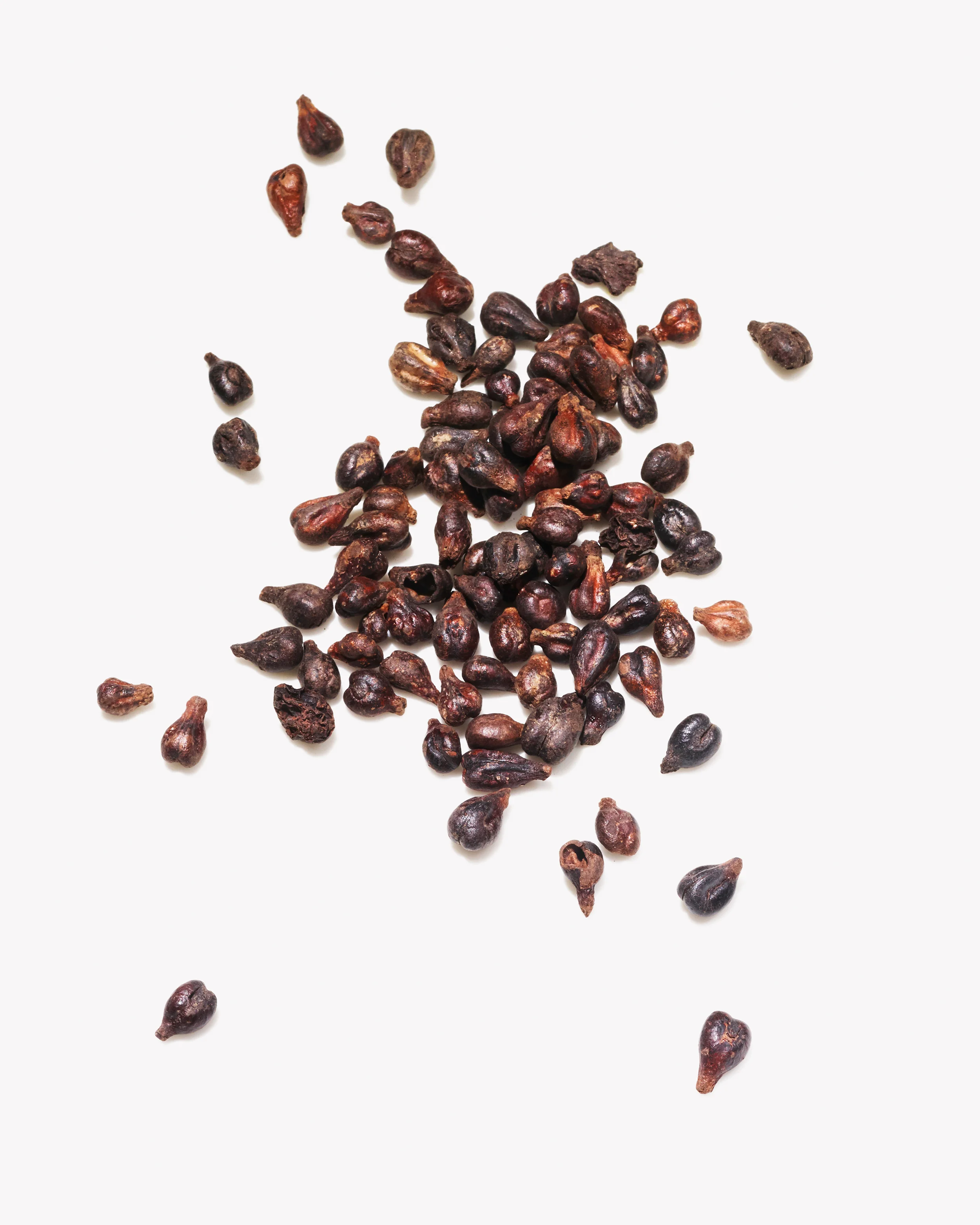 1409PR_BOTANICALS_GRAPESEED_448 copy.jpg