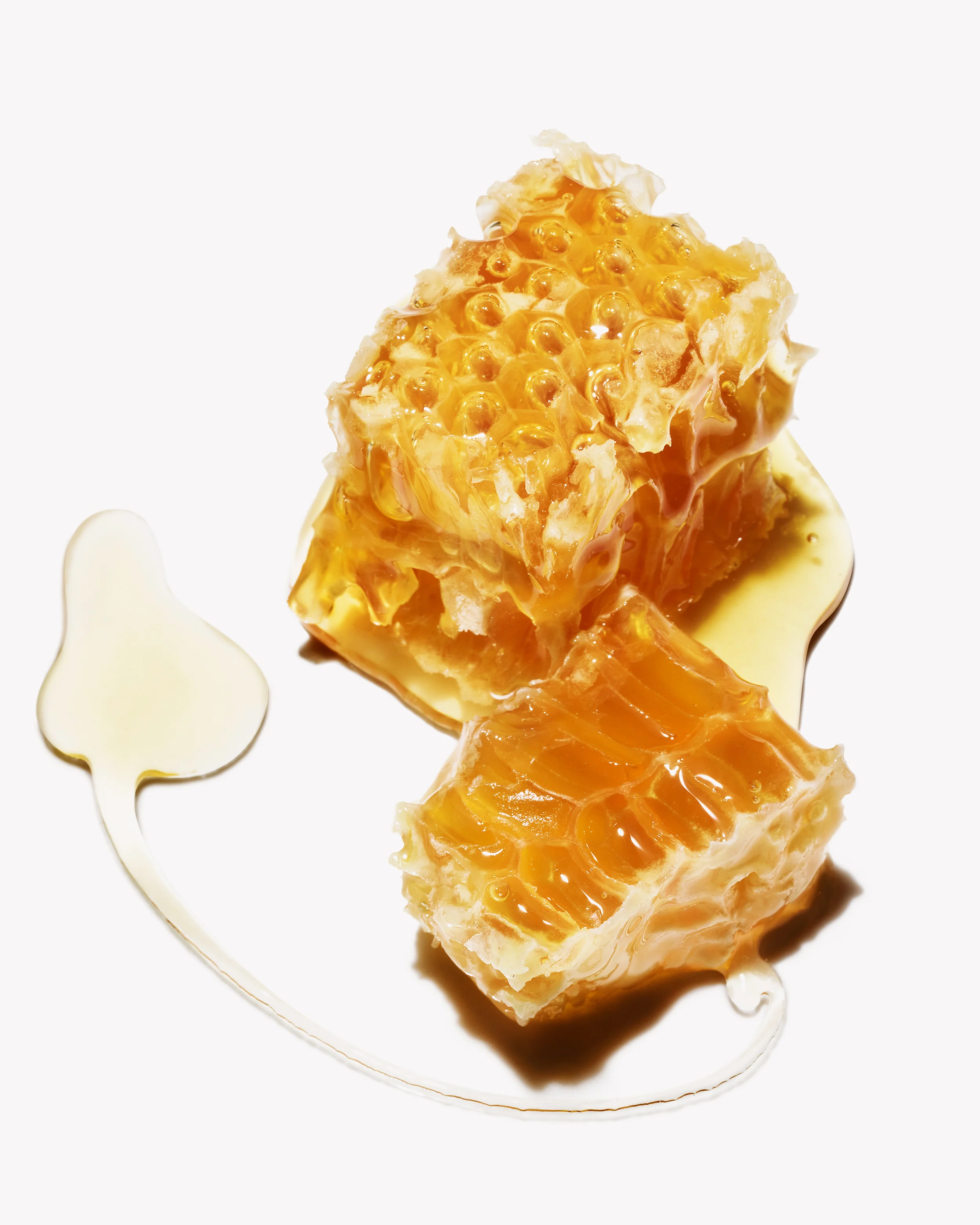 1409PR_BOTANICALS_HONEY_507 copy.jpg