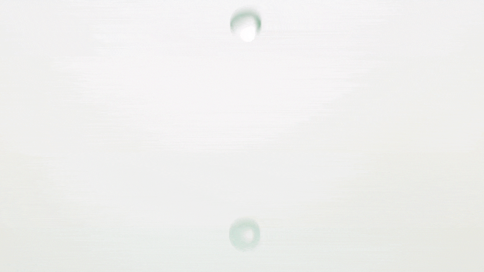motion + gifs — LISA SHIN