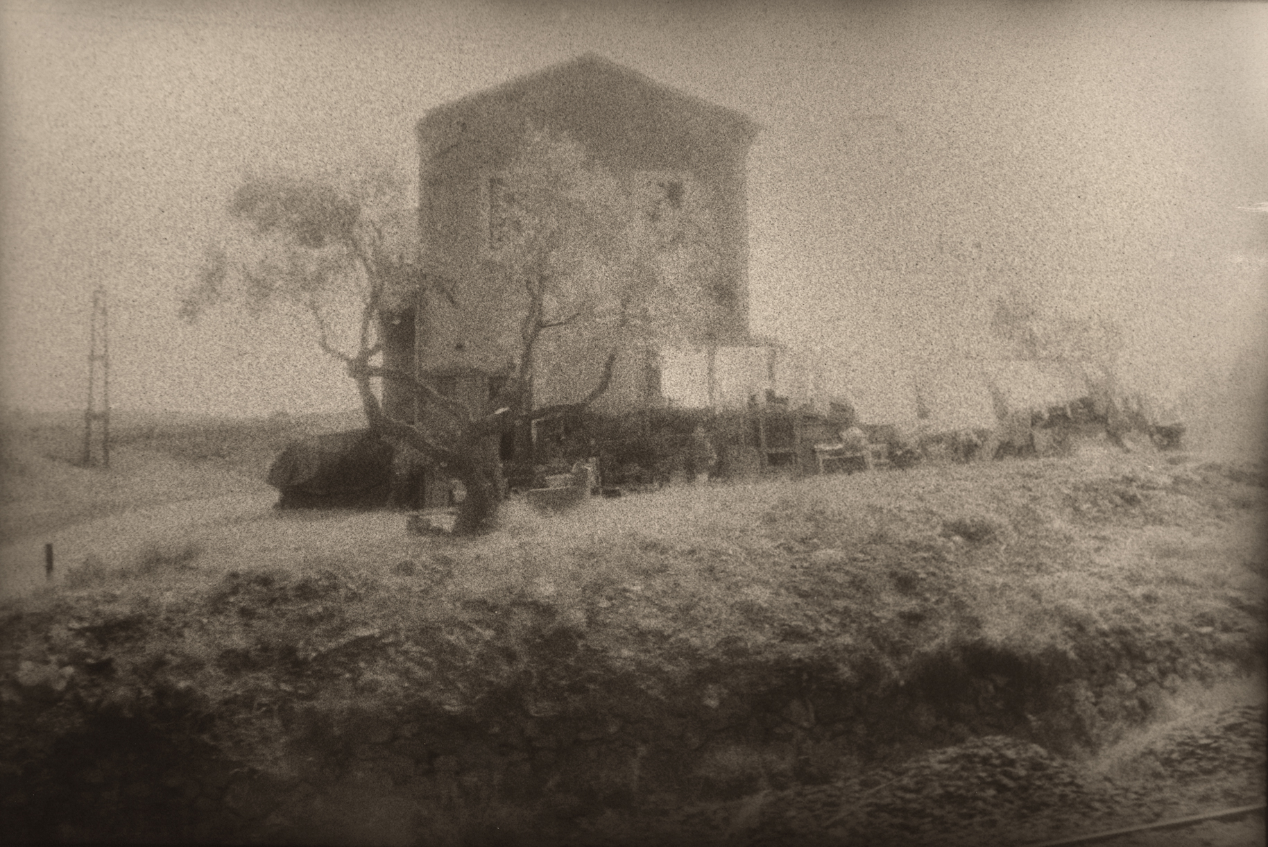 Grapes of Wrath