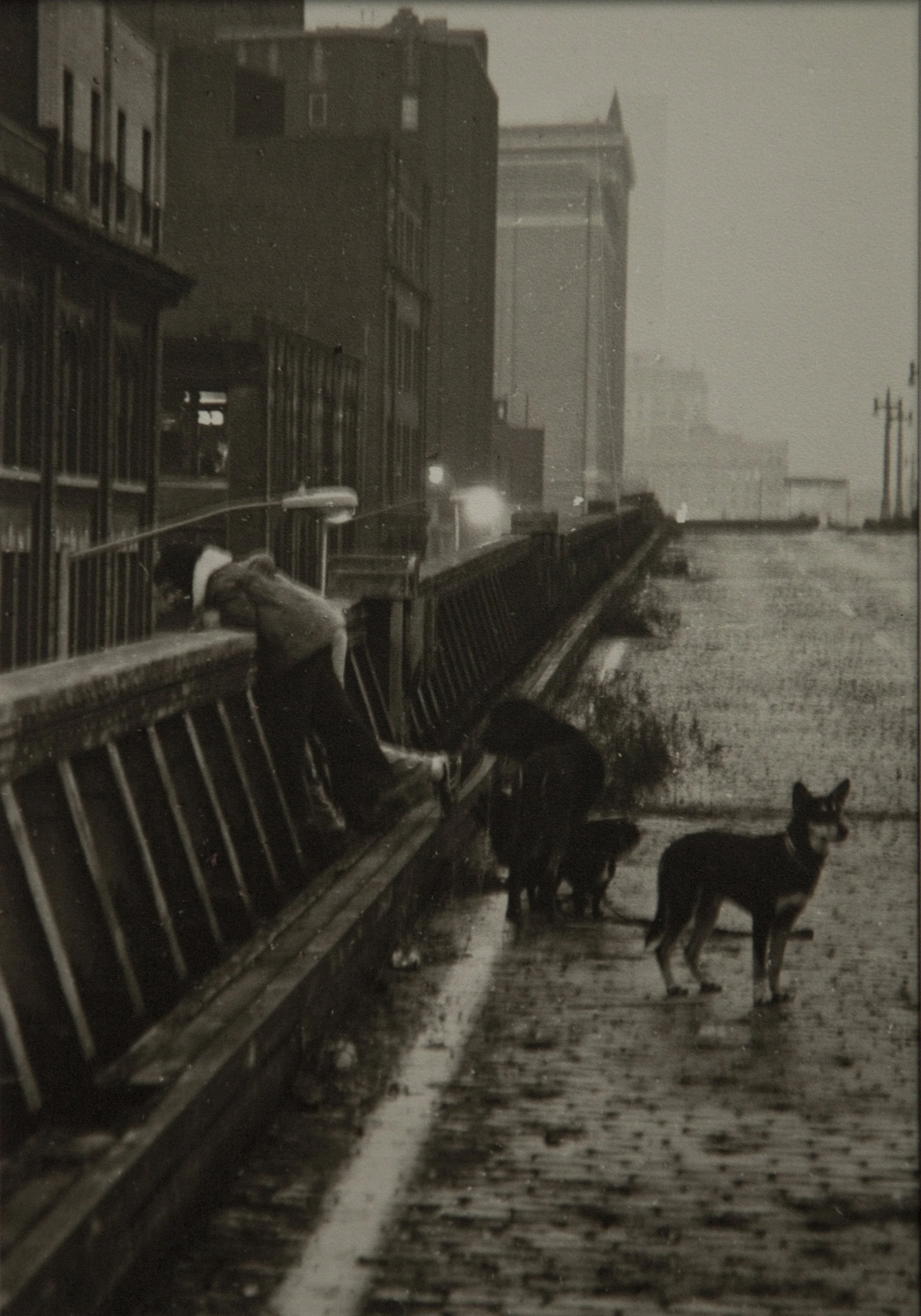 High Line 1977