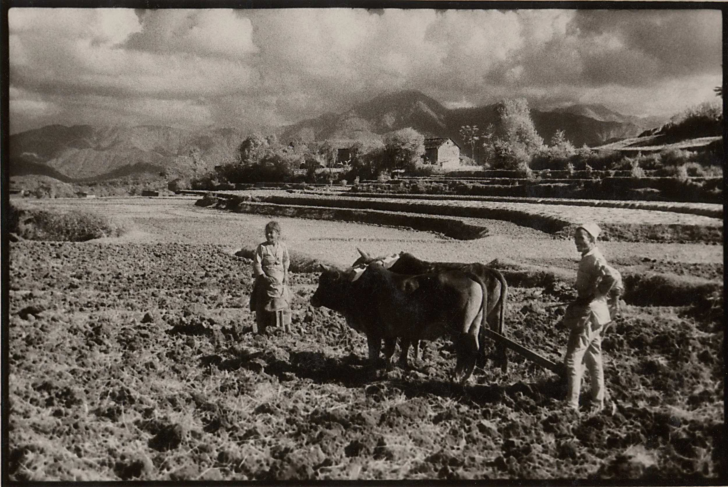 Kathmandu Married farmers