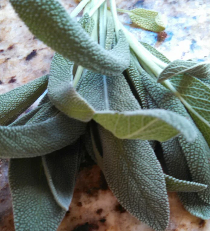 The more fresh sage leaves, the better!