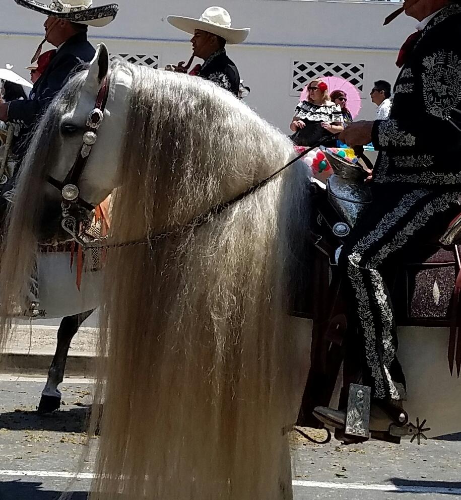 fiesta 3.jpg