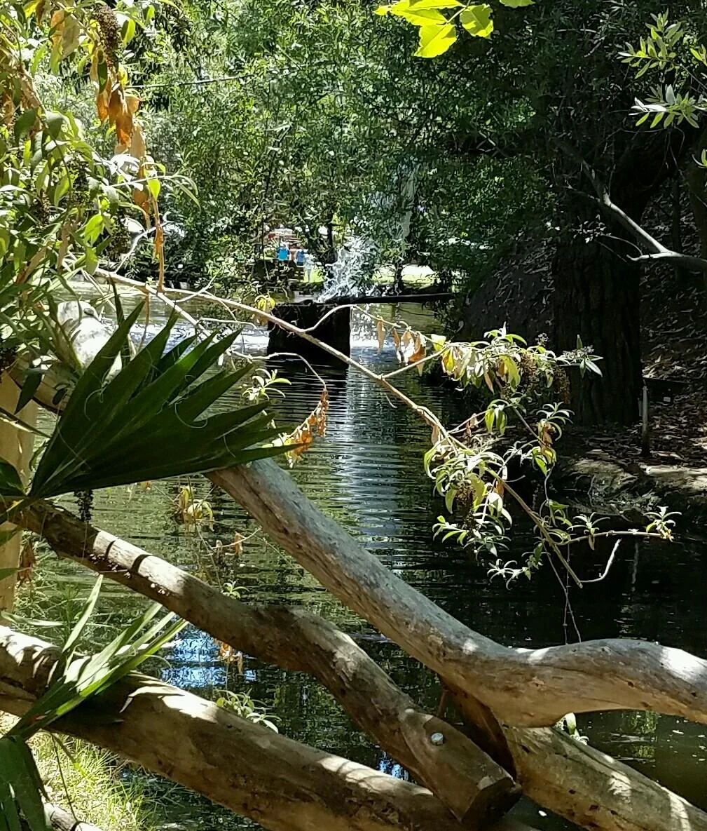 View from our creekside table