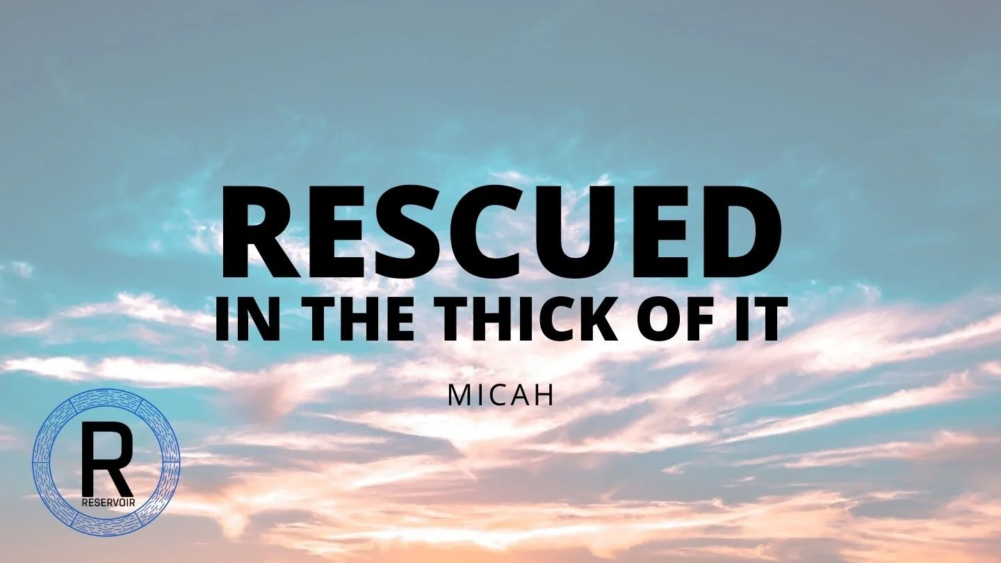 Rescued In The Thick Of It episode artwork
