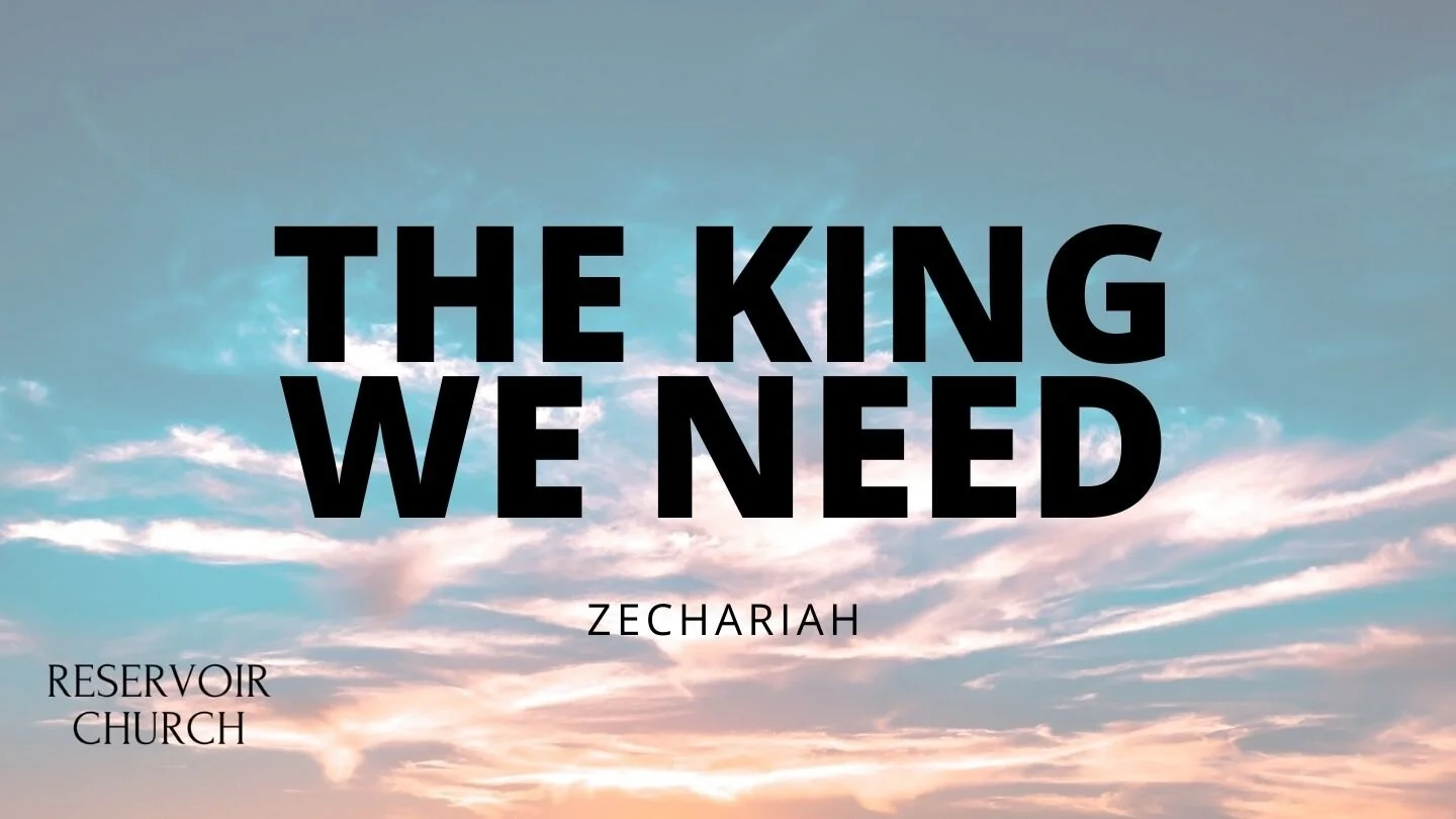 The King We Need episode artwork