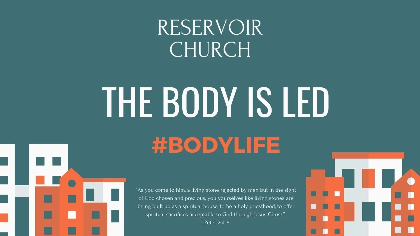 The Body is Led episode artwork