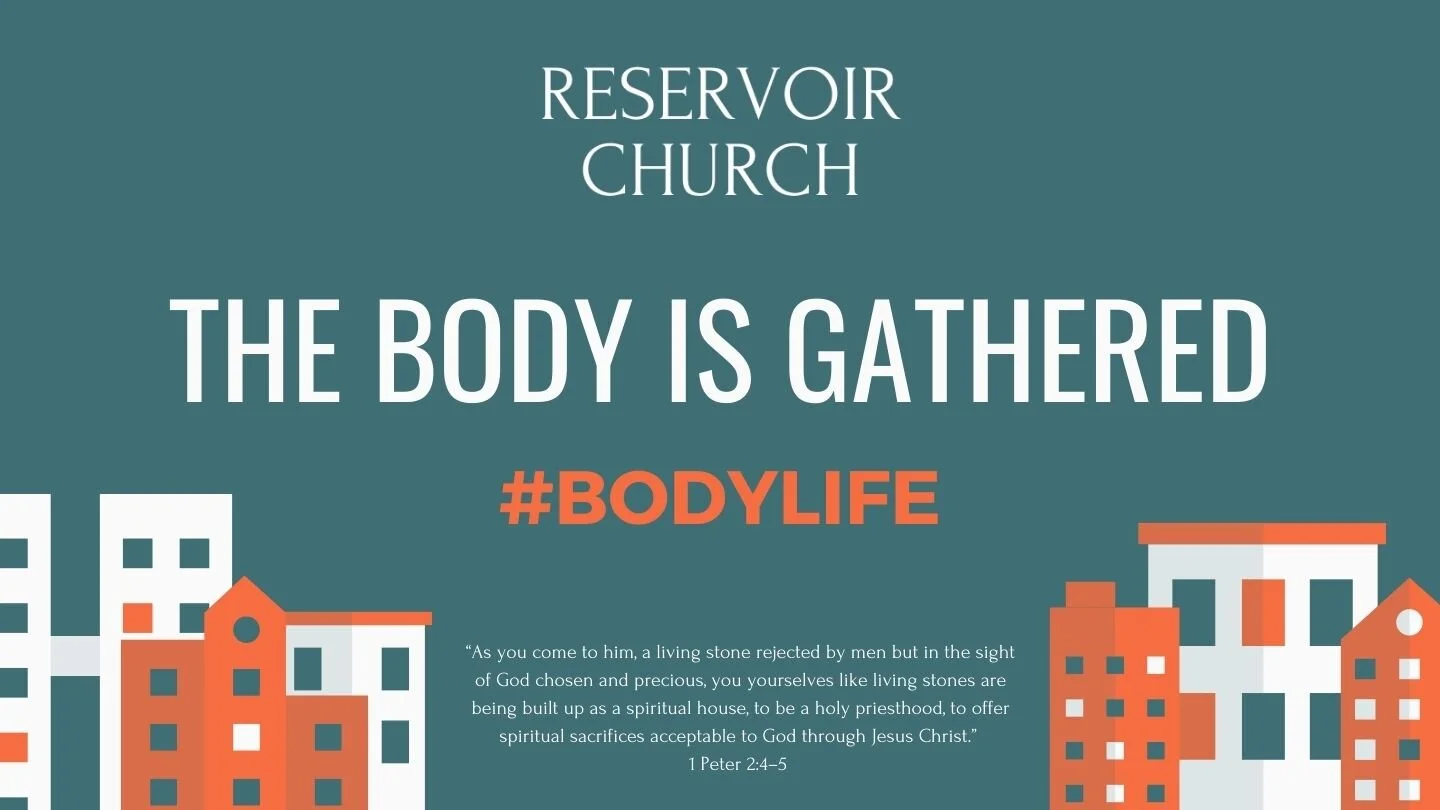 The Body is Gathered episode artwork