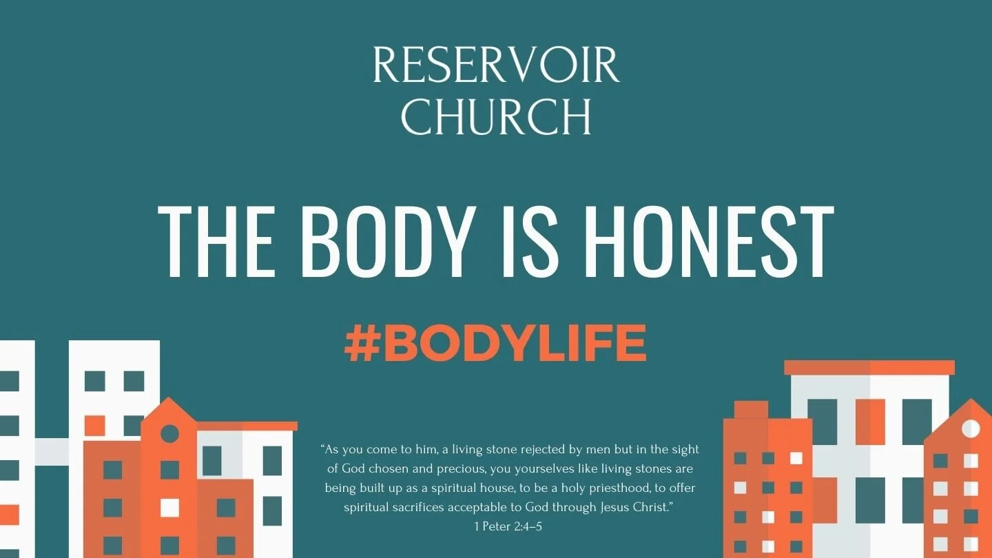 The Body is Honest episode artwork