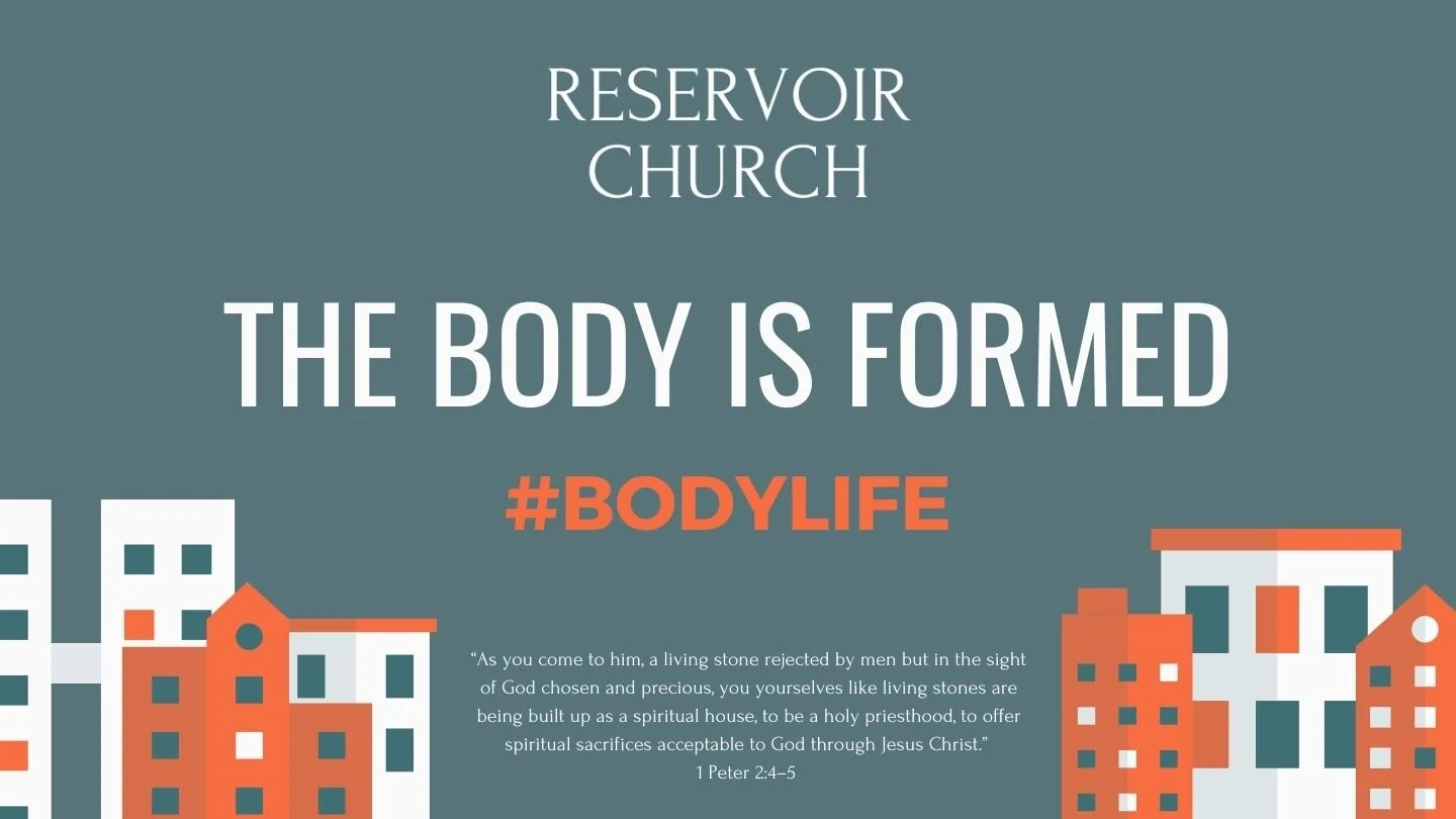The Body is Formed episode artwork