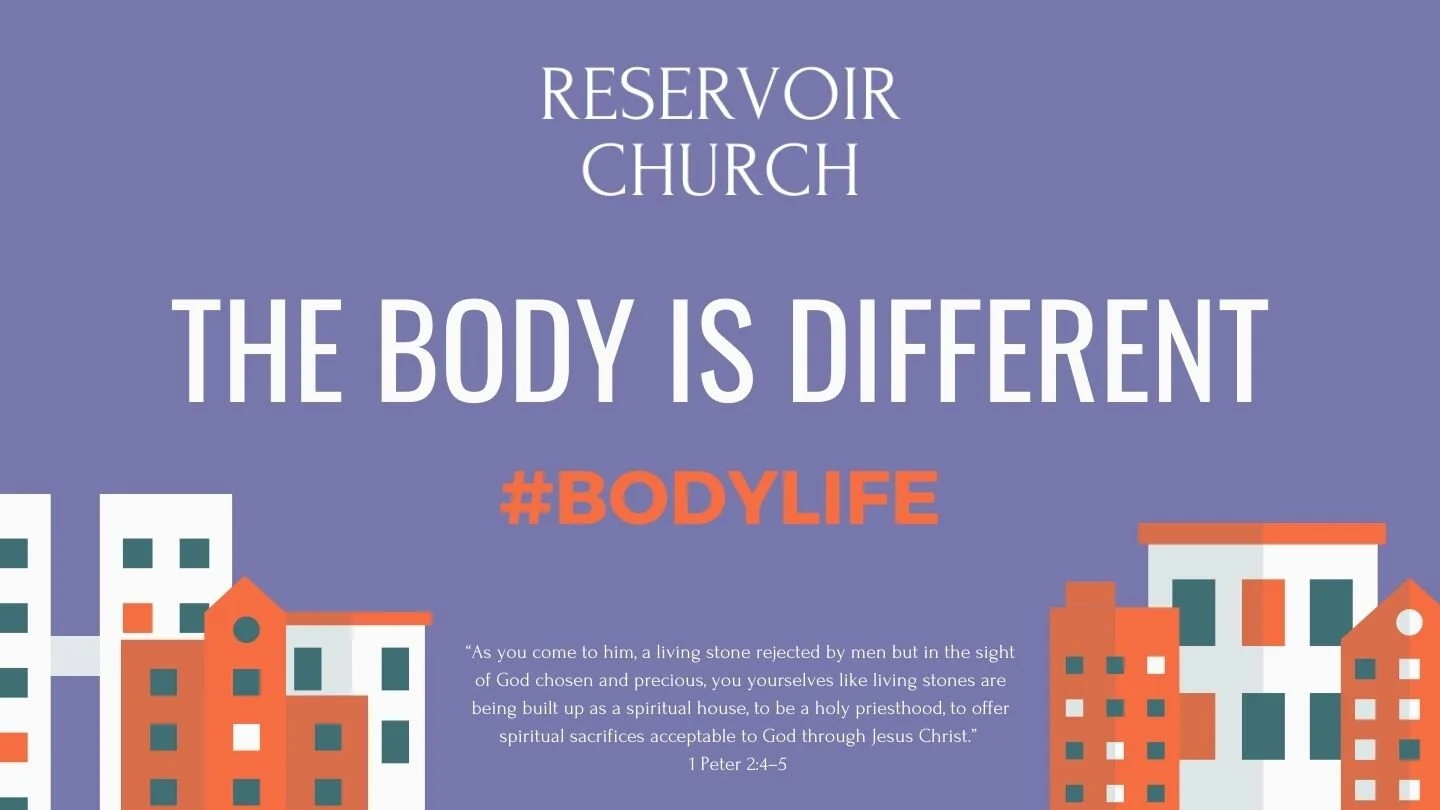 The Body is Different episode artwork