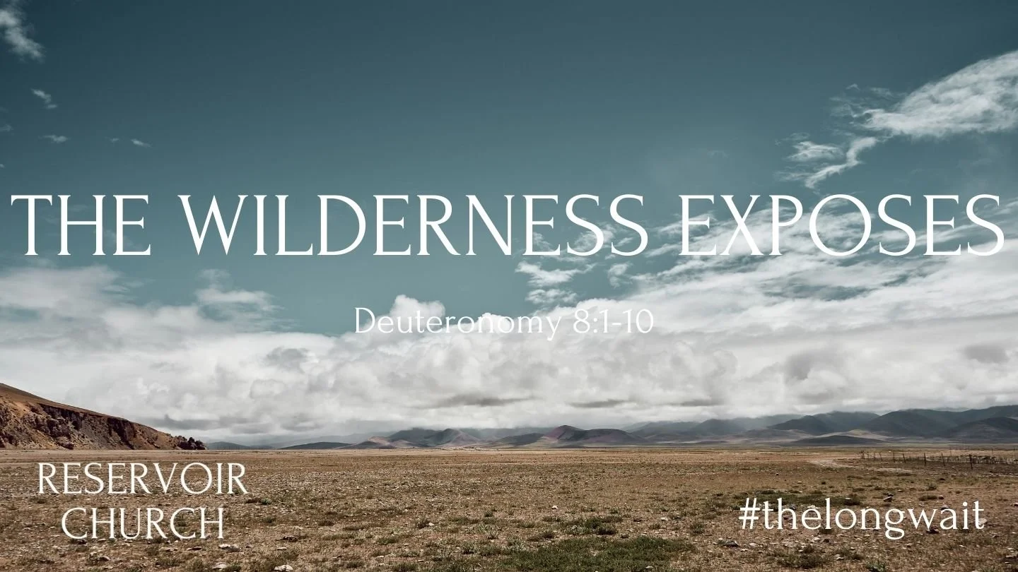 The Wilderness Exposes
