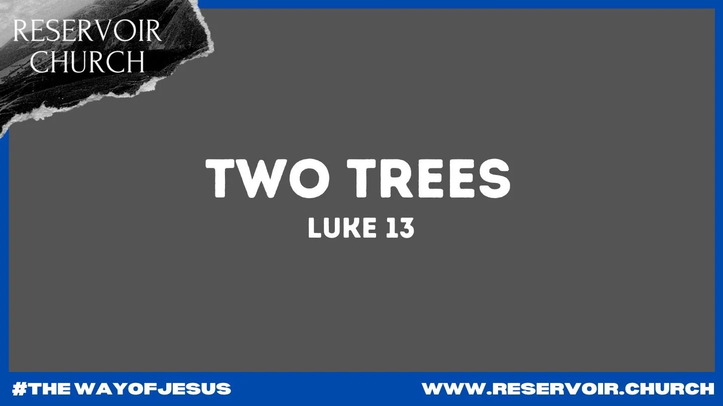 Two Trees episode artwork