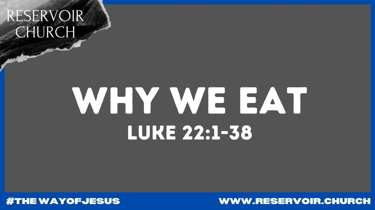 Why We Eat episode artwork
