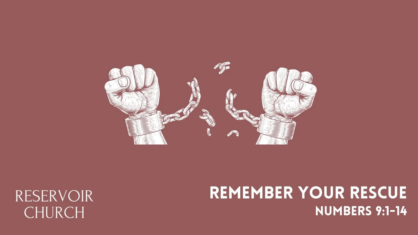 Remembering Your Rescue episode artwork