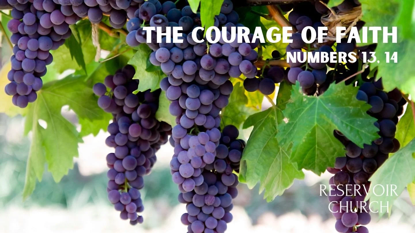 The Courage of Faith episode artwork