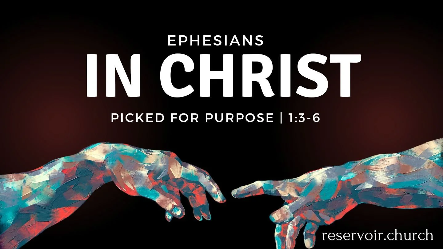 Picked for Purpose episode artwork