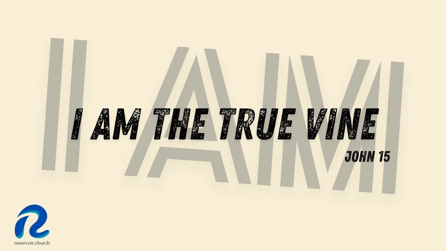 The True Vine episode artwork