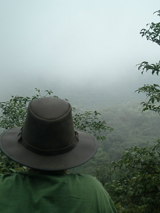 costa rica dan.jpg