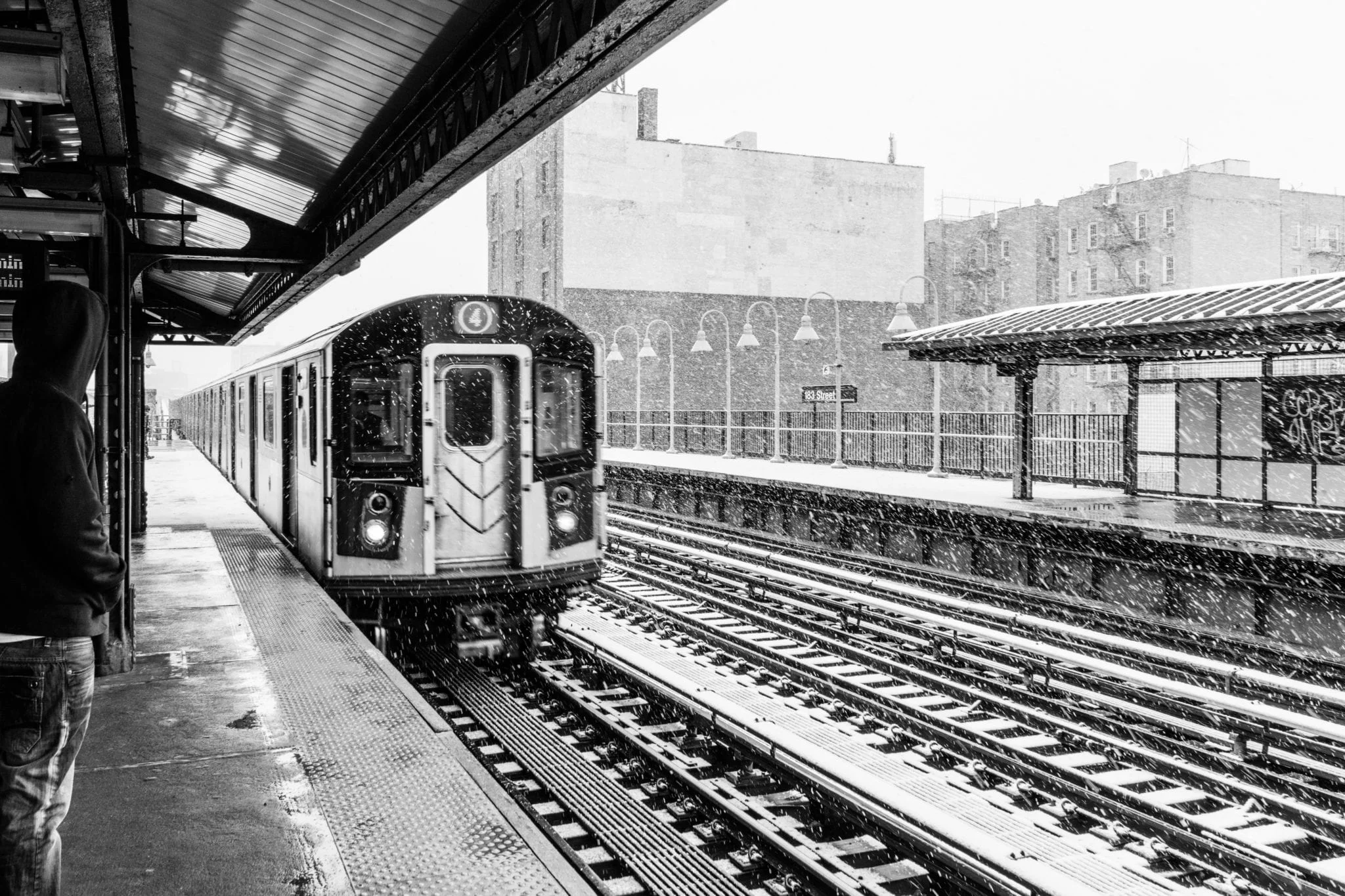 4-Train-in-the-Bronx.jpg