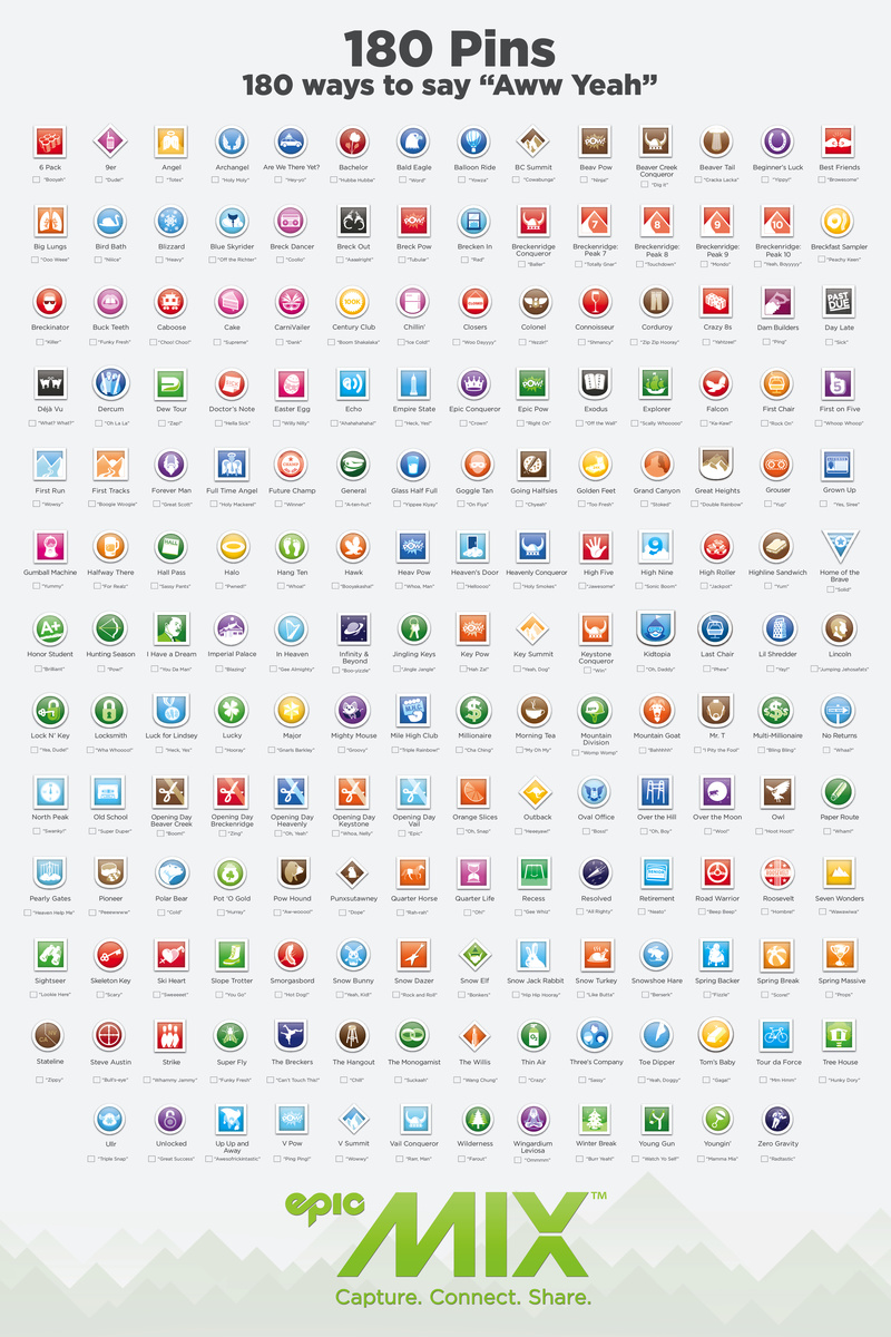  I helped design and lead a design team to create +250 pins for the launch of Epic Mix.