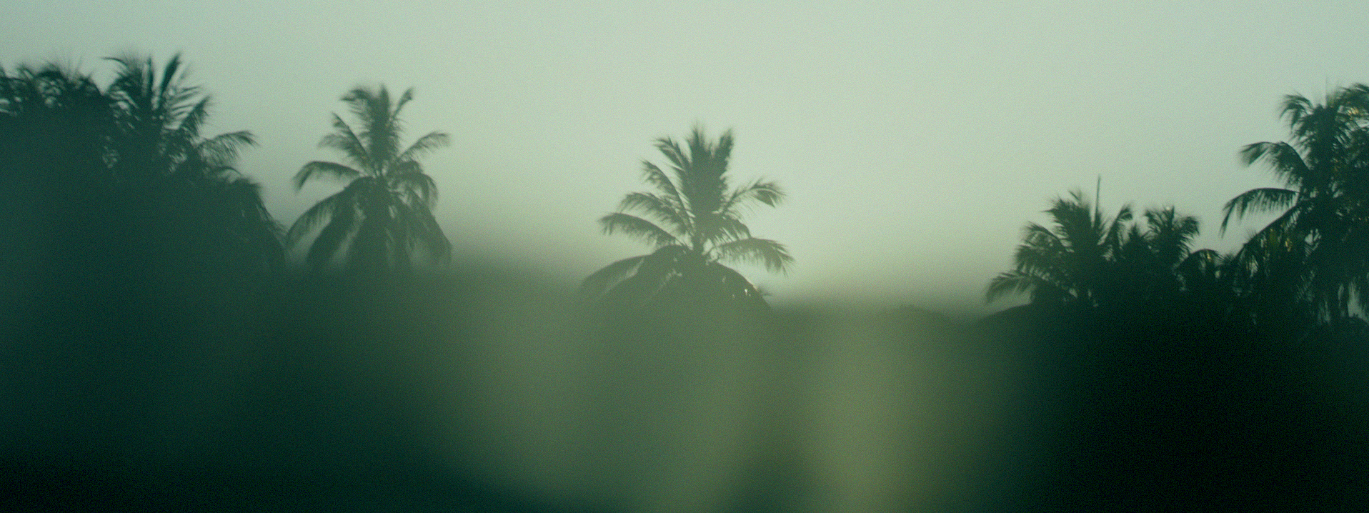 FOOTAGE.03_49_01_01.Still413.jpeg