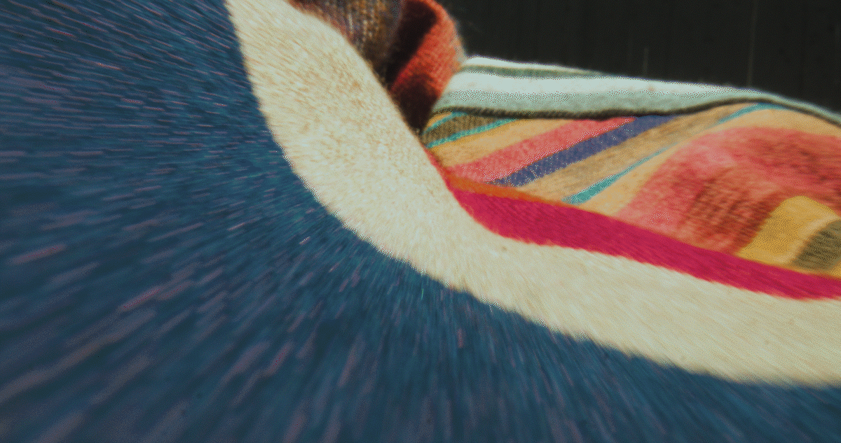 GIF 19.gif