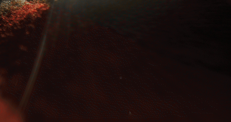 GIF 20.gif