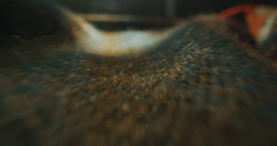 GIF 21.gif