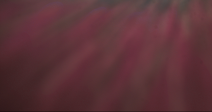 GIF 5_2.gif